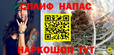 спиды Будённовск