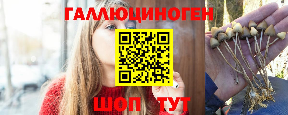 Галлюциногенные грибы GOLDEN TEACHER Канск