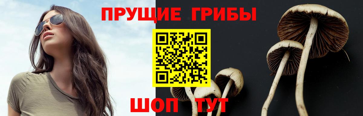 Галлюциногенные грибы прущие грибы  как найти закладки  Канск  Вход с VPN 